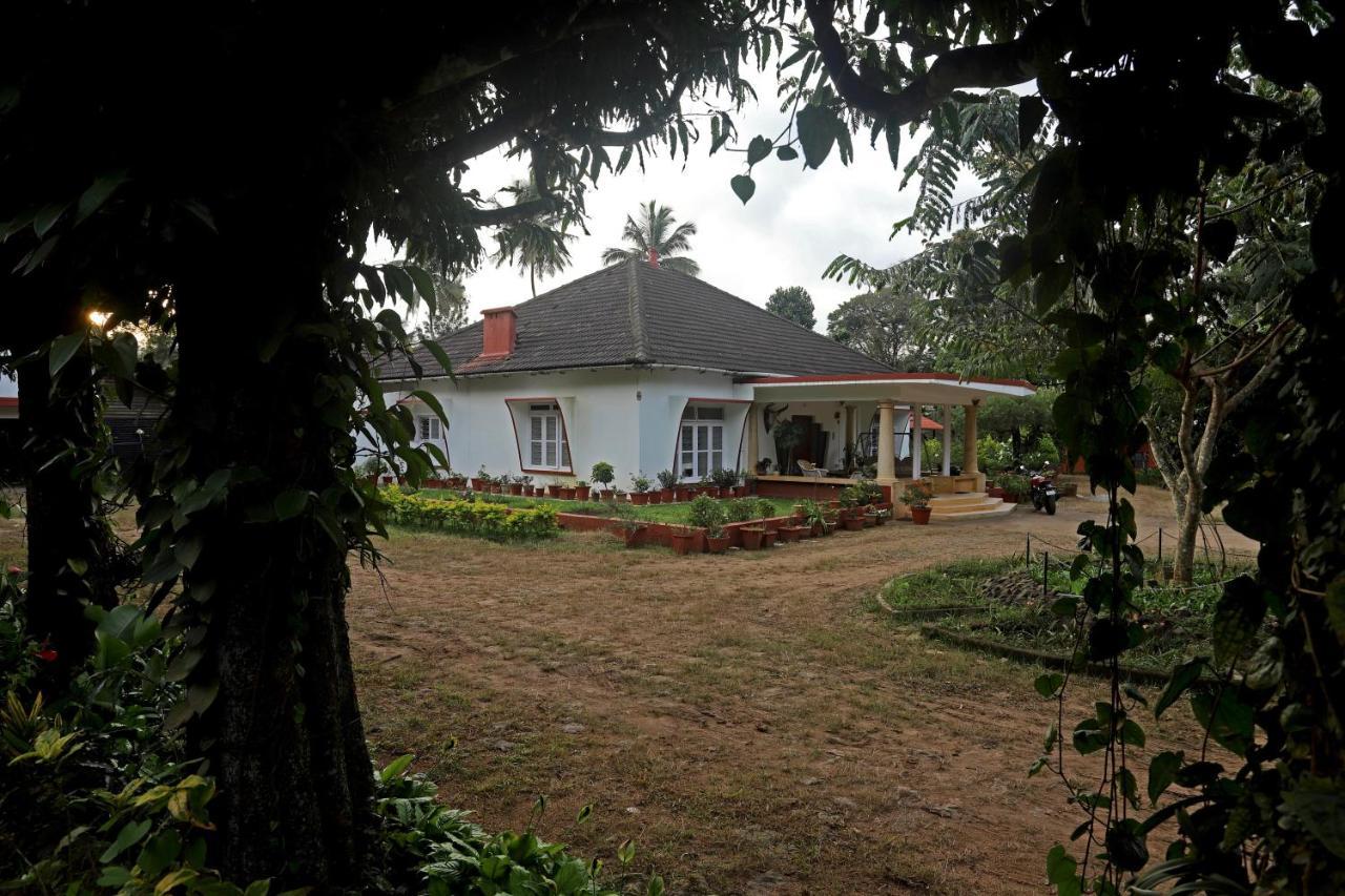 Devi Villa - Plantation Retreat And Forest Getaway Kutta Exterior foto